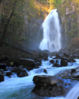 Image of Siuslaw National Forest (Photo by: Greg Yamada/STE)