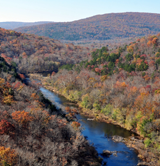 Image of Mark Twain National Forest (Photo by: James Baughn, STE)