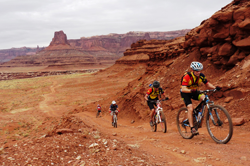 Image of people mountain biking