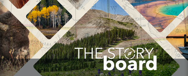 The Story Board