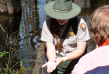 Image of Ranger-led Program at Big Cypress National Preserve