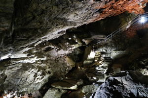 Image of Oregon Caves National Monument (Photo by: Tim Padget/STE)