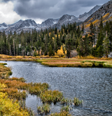 Image of Inyo National Forest (Photo by: Cat Connor, STE)