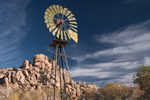 Image of Joshua Tree National Park (Photo by: Patricia McCairen/STE)
